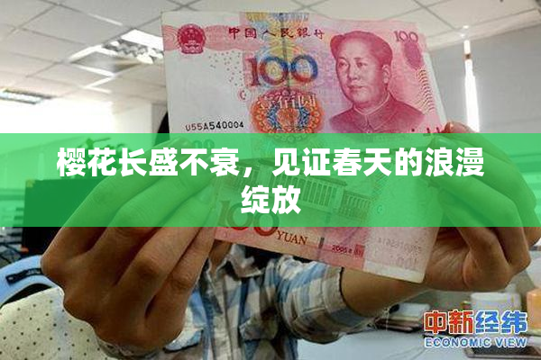 樱花长盛不衰，见证春天的浪漫绽放