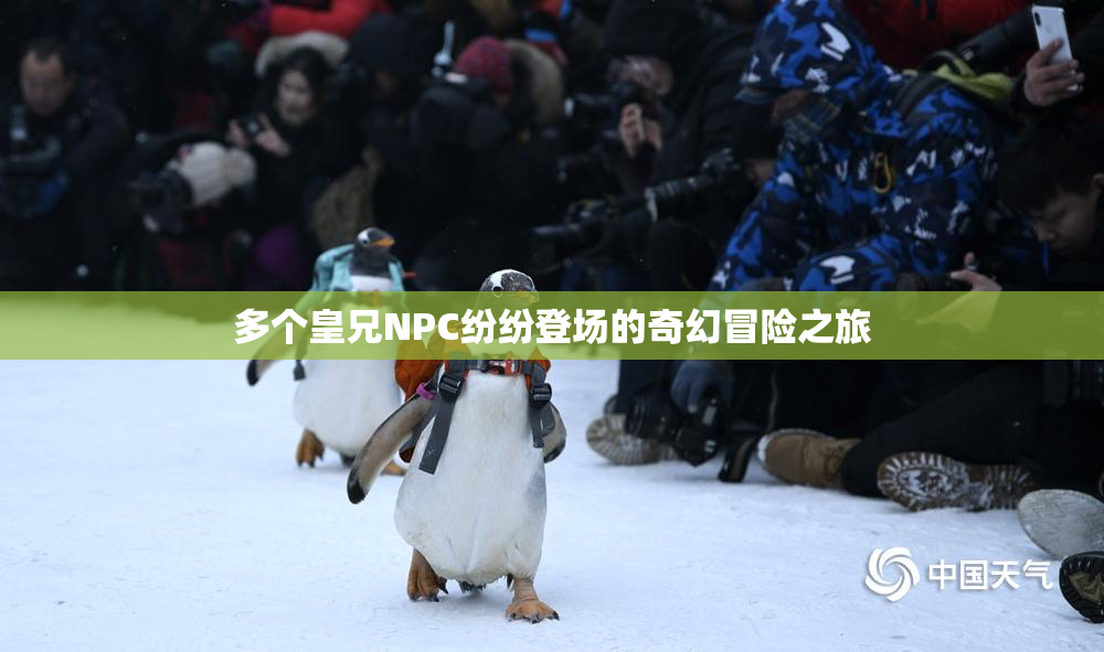 多个皇兄NPC纷纷登场的奇幻冒险之旅