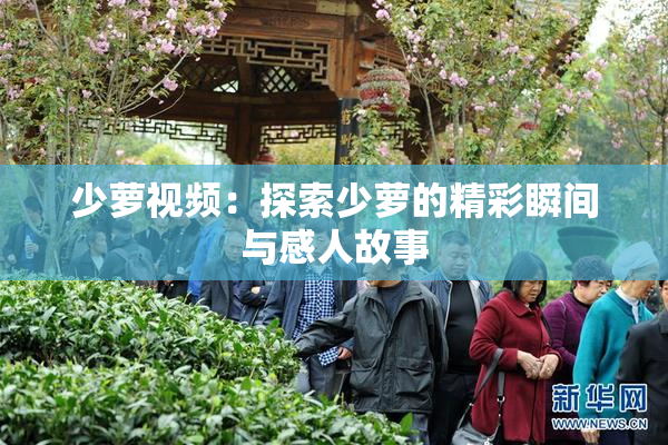少萝视频：探索少萝的精彩瞬间与感人故事