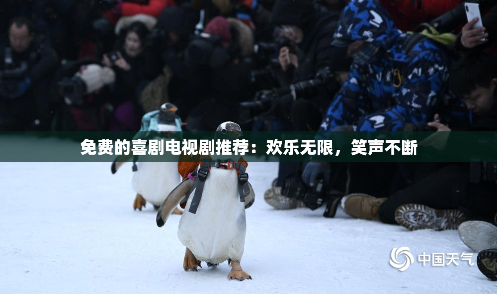免费的喜剧电视剧推荐：欢乐无限，笑声不断