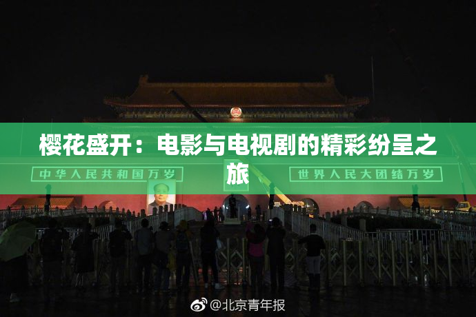 樱花盛开：电影与电视剧的精彩纷呈之旅