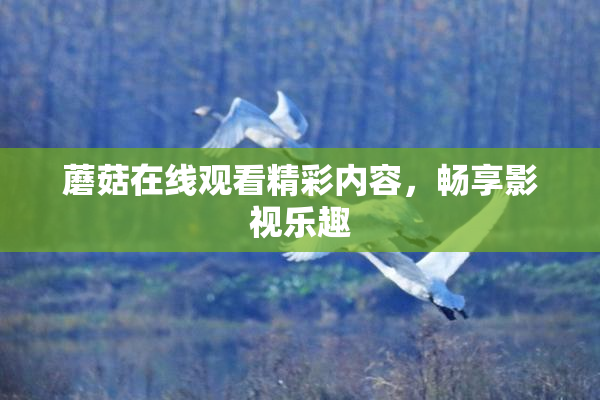 蘑菇在线观看精彩内容，畅享影视乐趣