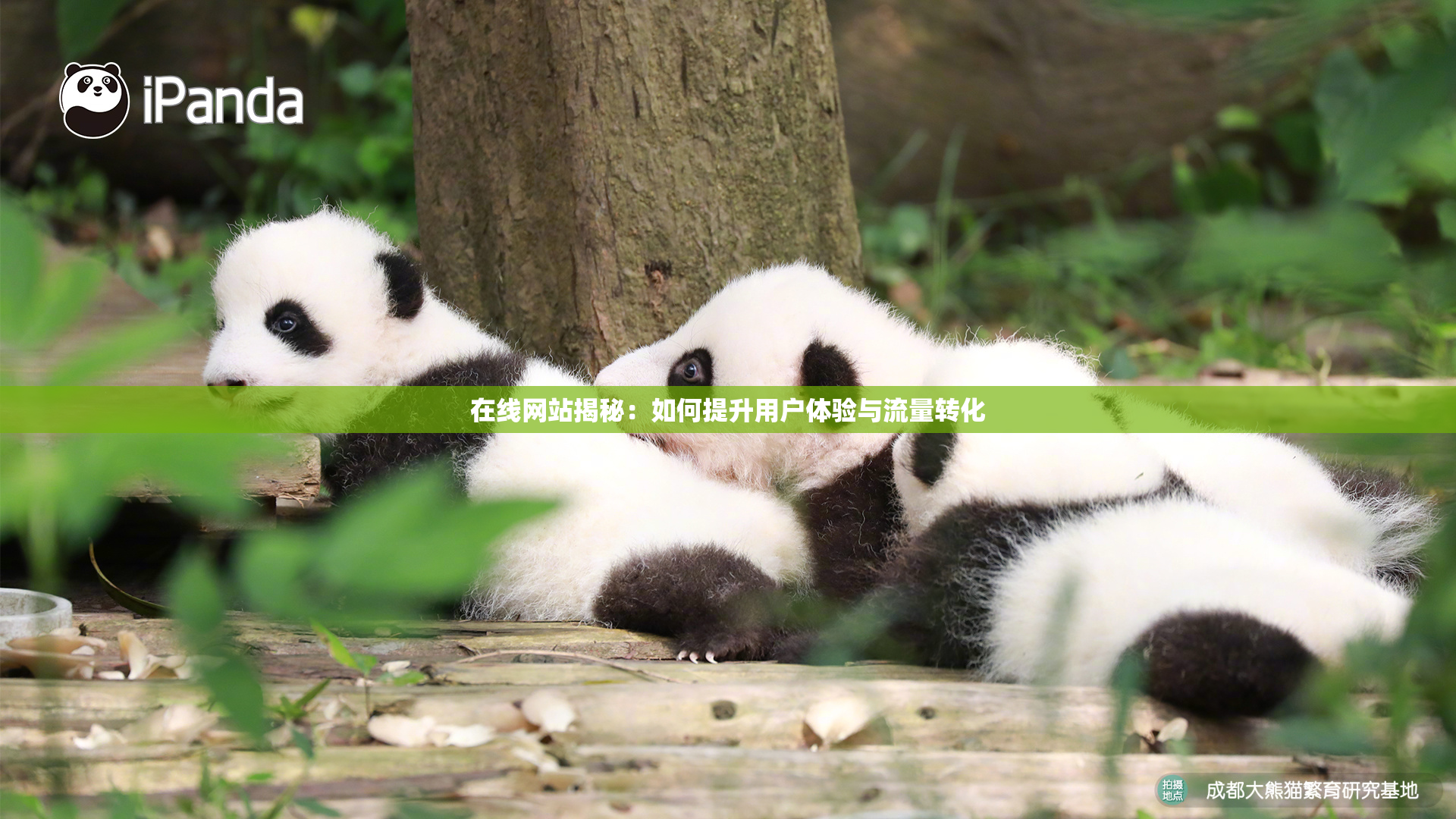 在线网站揭秘：如何提升用户体验与流量转化