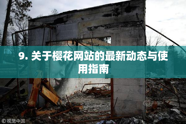 9. 关于樱花网站的最新动态与使用指南