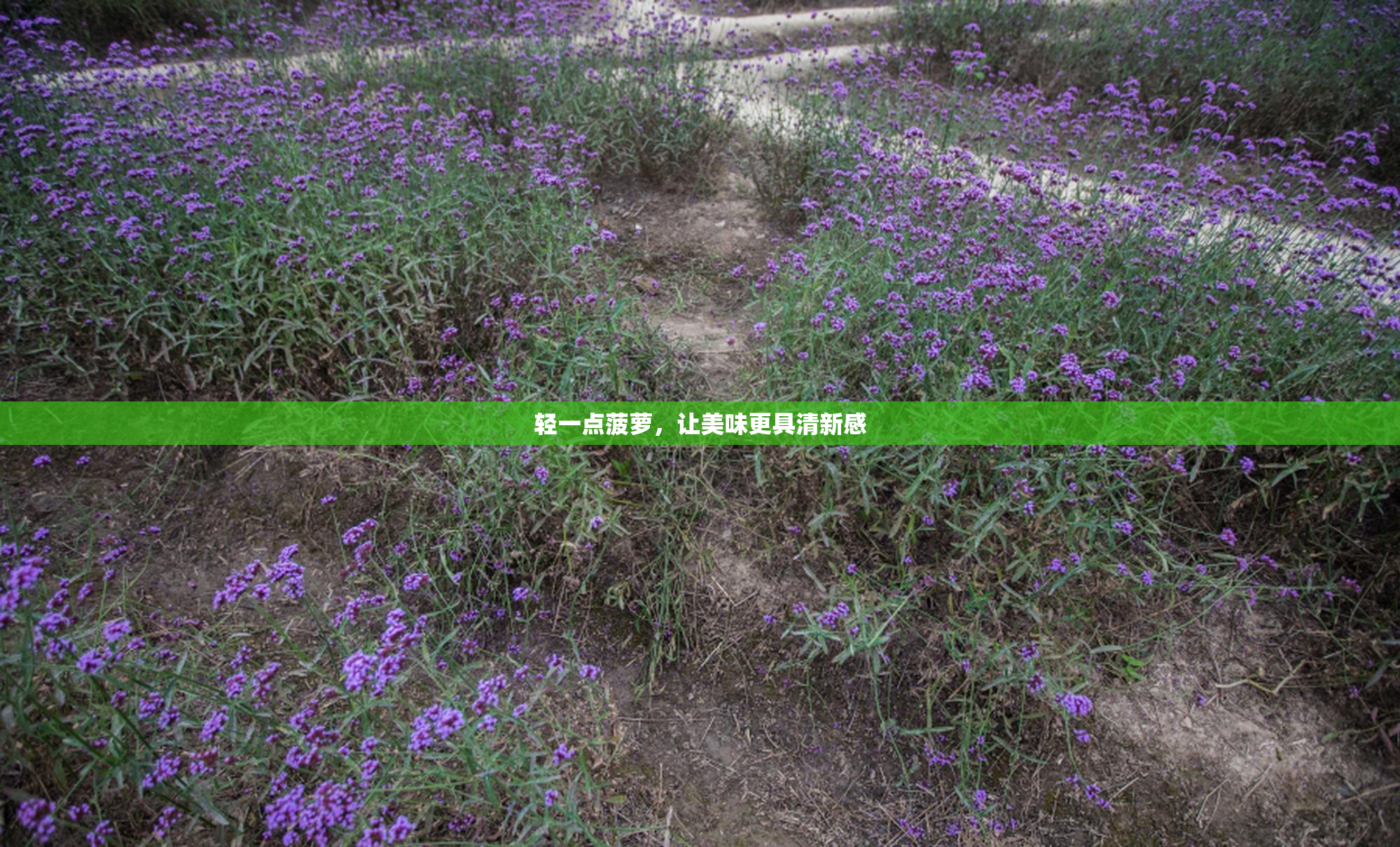 轻一点菠萝，让美味更具清新感