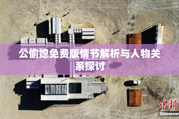公偷媳免费版情节解析与人物关系探讨