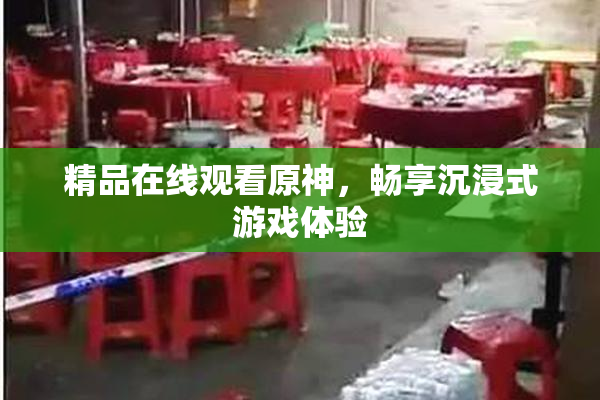 精品在线观看原神，畅享沉浸式游戏体验