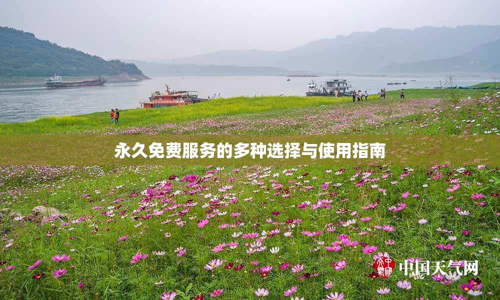 永久免费服务的多种选择与使用指南
