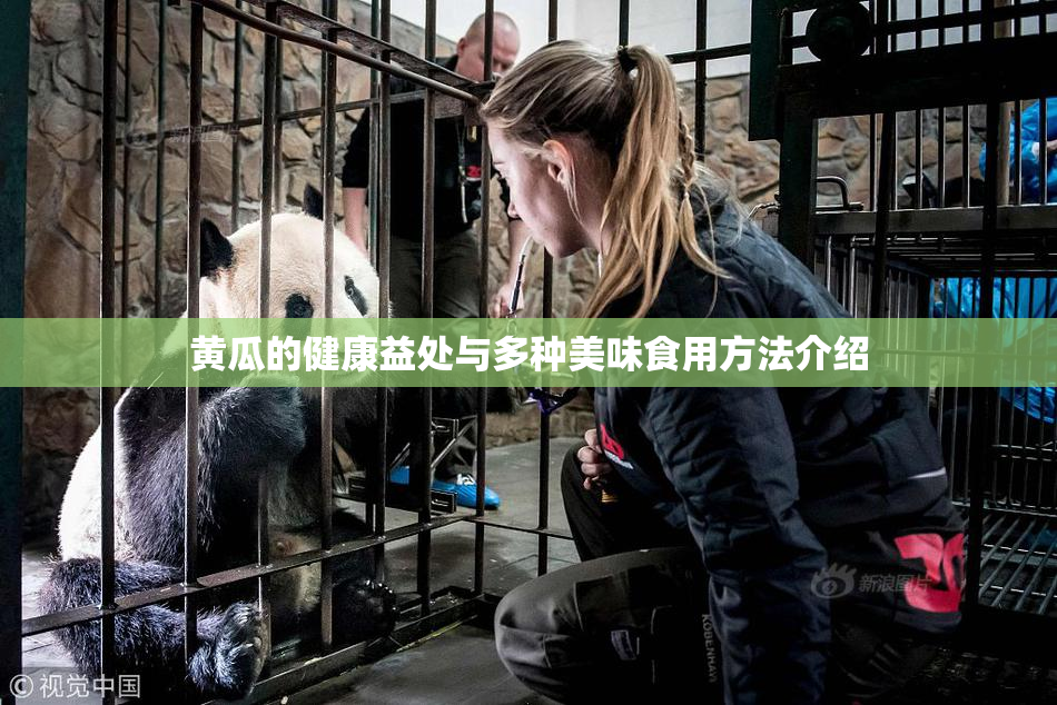黄瓜的健康益处与多种美味食用方法介绍