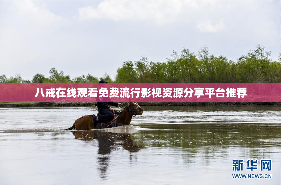 八戒在线观看免费流行影视资源分享平台推荐