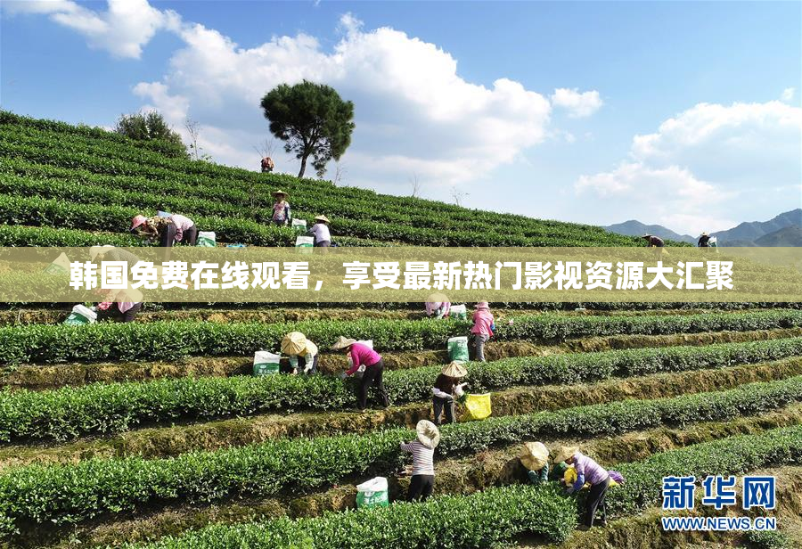 韩国免费在线观看，享受最新热门影视资源大汇聚