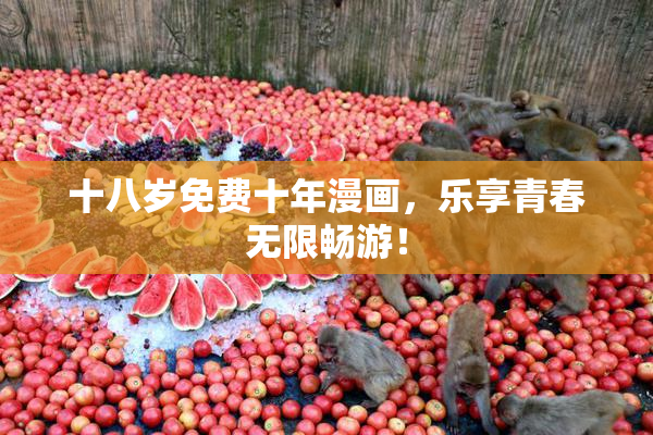 十八岁免费十年漫画，乐享青春无限畅游！