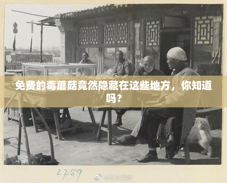 免费的毒蘑菇竟然隐藏在这些地方，你知道吗？