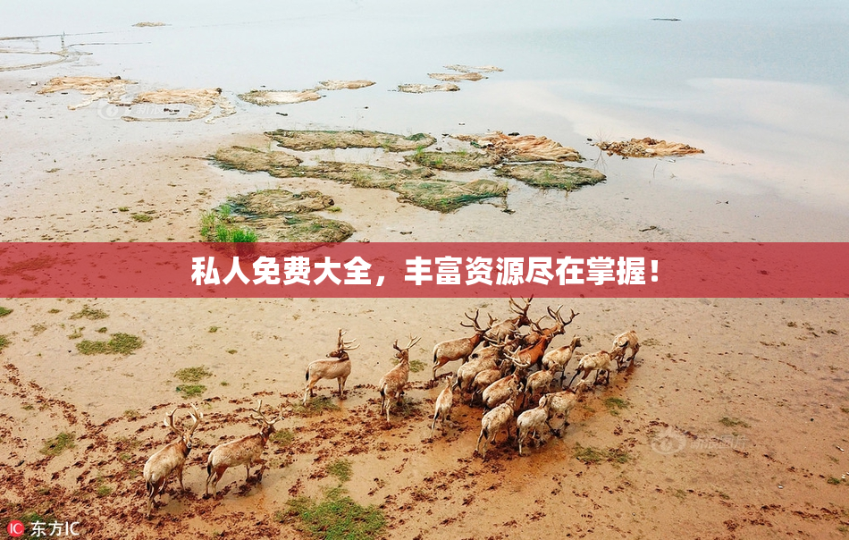 私人免费大全，丰富资源尽在掌握！