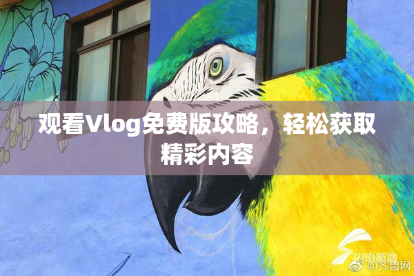 观看Vlog免费版攻略，轻松获取精彩内容