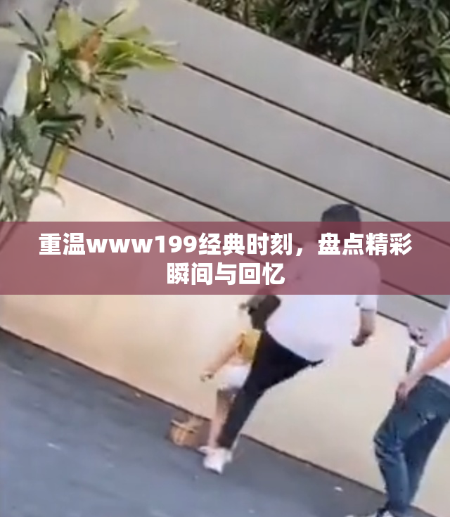 重温www199经典时刻，盘点精彩瞬间与回忆