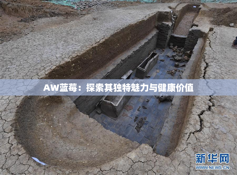 AW蓝莓：探索其独特魅力与健康价值