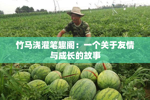 竹马浇灌笔趣阁：一个关于友情与成长的故事