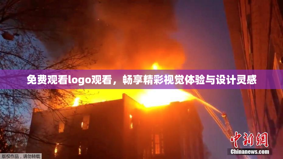 免费观看logo观看，畅享精彩视觉体验与设计灵感