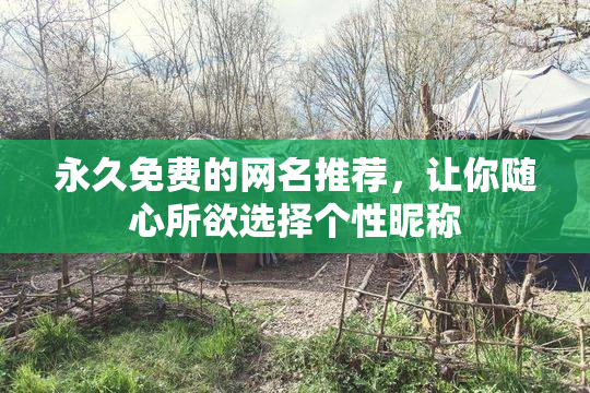永久免费的网名推荐，让你随心所欲选择个性昵称