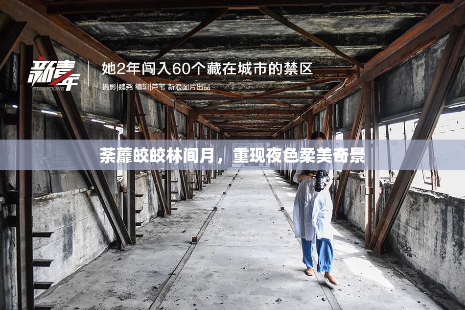 荼蘼皎皎林间月，重现夜色柔美奇景