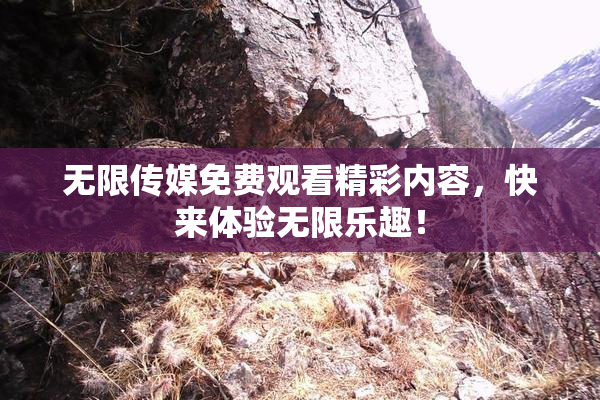 无限传媒免费观看精彩内容，快来体验无限乐趣！
