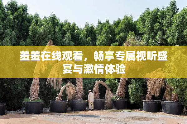 羞羞在线观看，畅享专属视听盛宴与激情体验