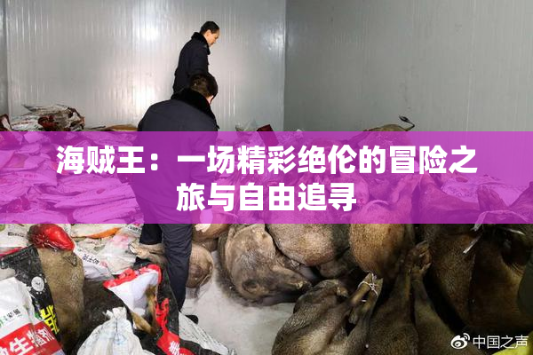 海贼王：一场精彩绝伦的冒险之旅与自由追寻