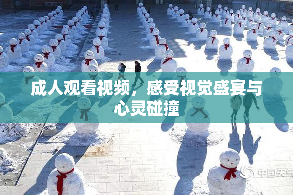 成人观看视频，感受视觉盛宴与心灵碰撞