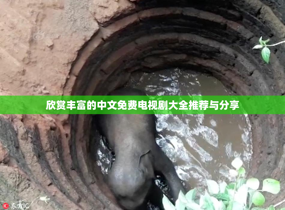 欣赏丰富的中文免费电视剧大全推荐与分享