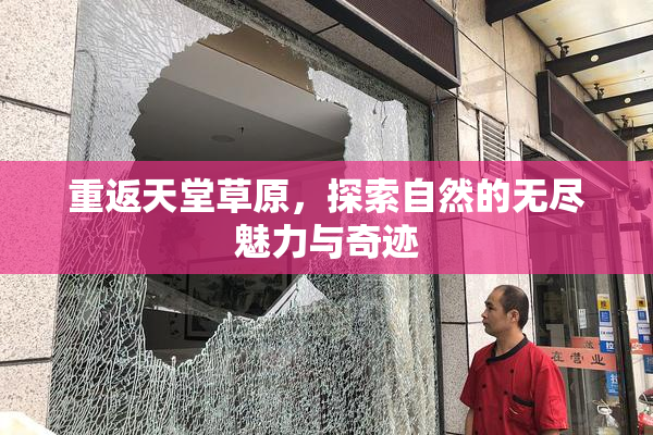 重返天堂草原，探索自然的无尽魅力与奇迹