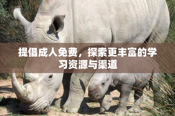 提倡成人免费，探索更丰富的学习资源与渠道