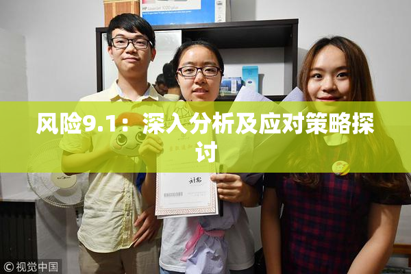 风险9.1：深入分析及应对策略探讨