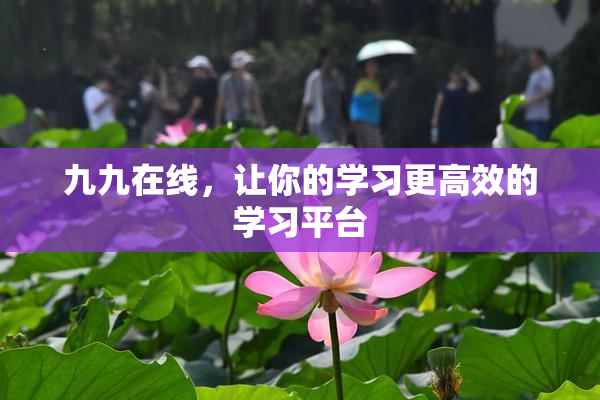 九九在线，让你的学习更高效的学习平台