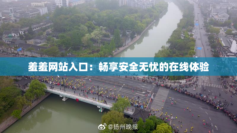 羞羞网站入口：畅享安全无忧的在线体验