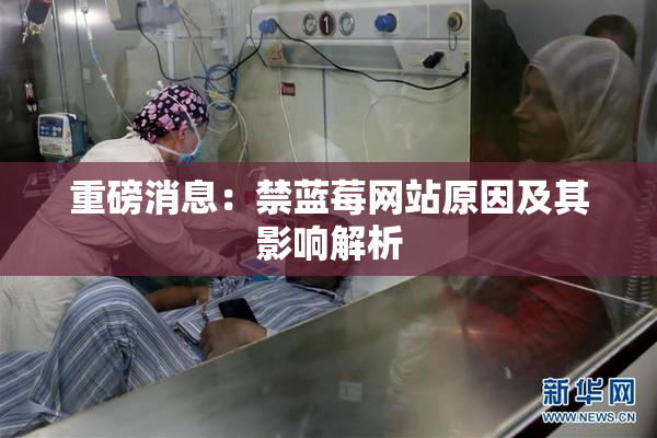 重磅消息：禁蓝莓网站原因及其影响解析