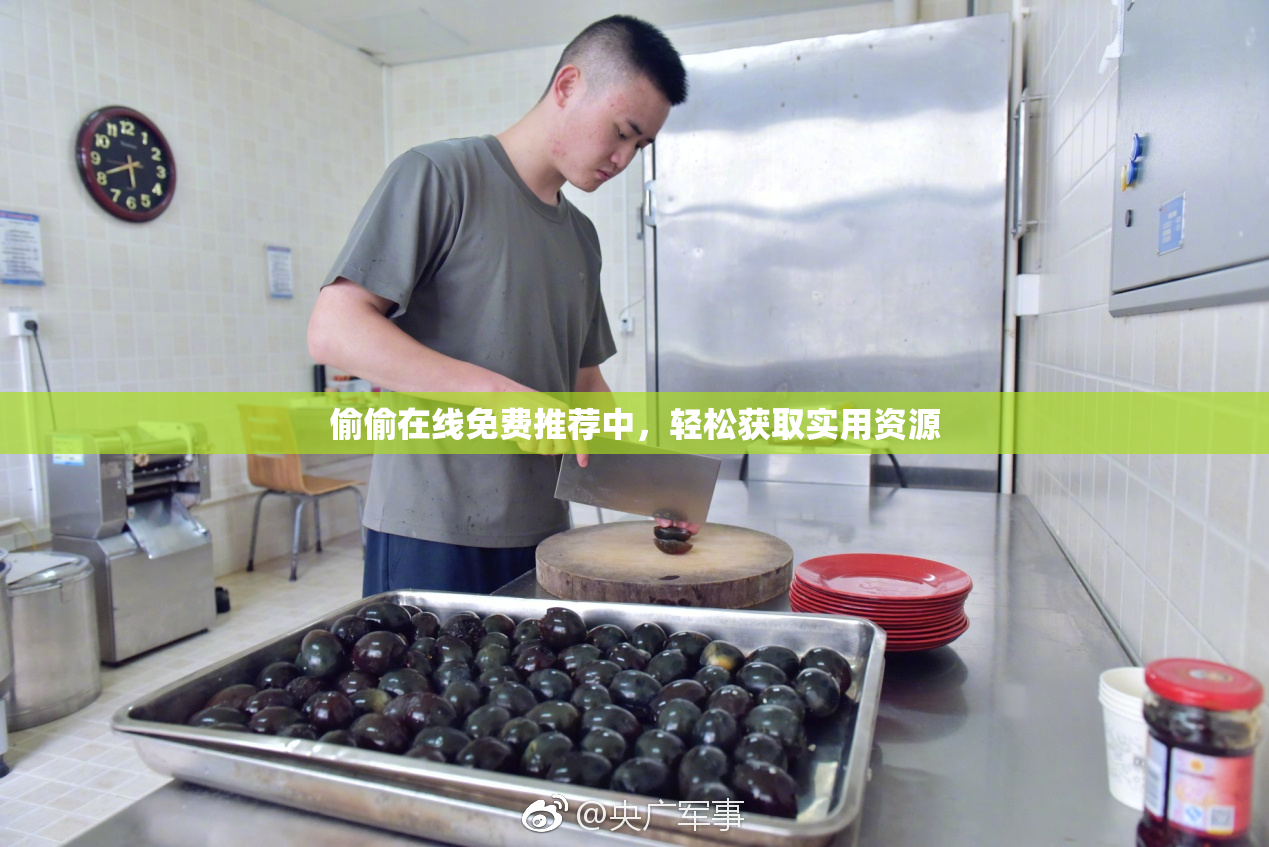 偷偷在线免费推荐中，轻松获取实用资源