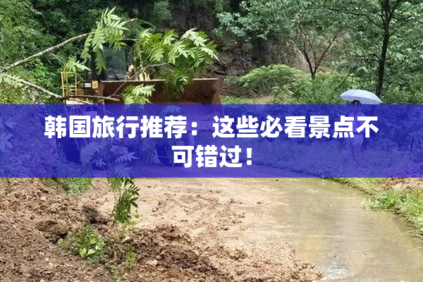韩国旅行推荐：这些必看景点不可错过！