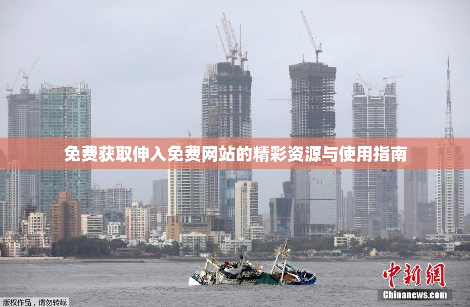 免费获取伸入免费网站的精彩资源与使用指南