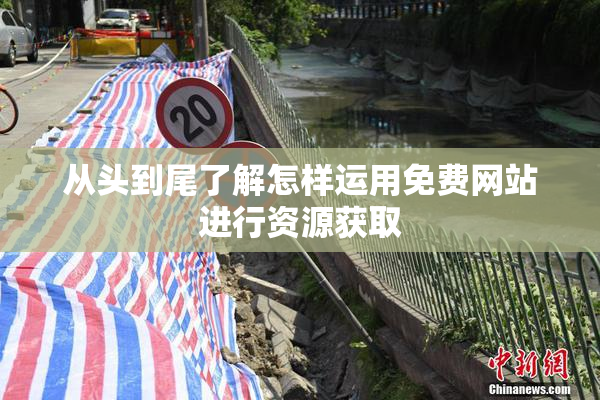 从头到尾了解怎样运用免费网站进行资源获取