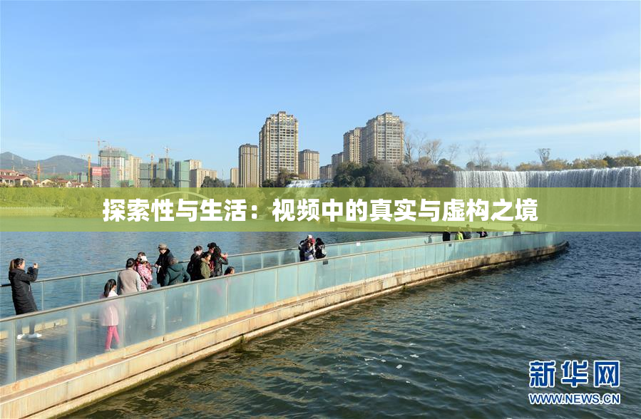 探索性与生活：视频中的真实与虚构之境