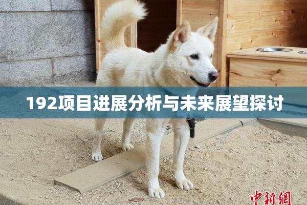 192项目进展分析与未来展望探讨