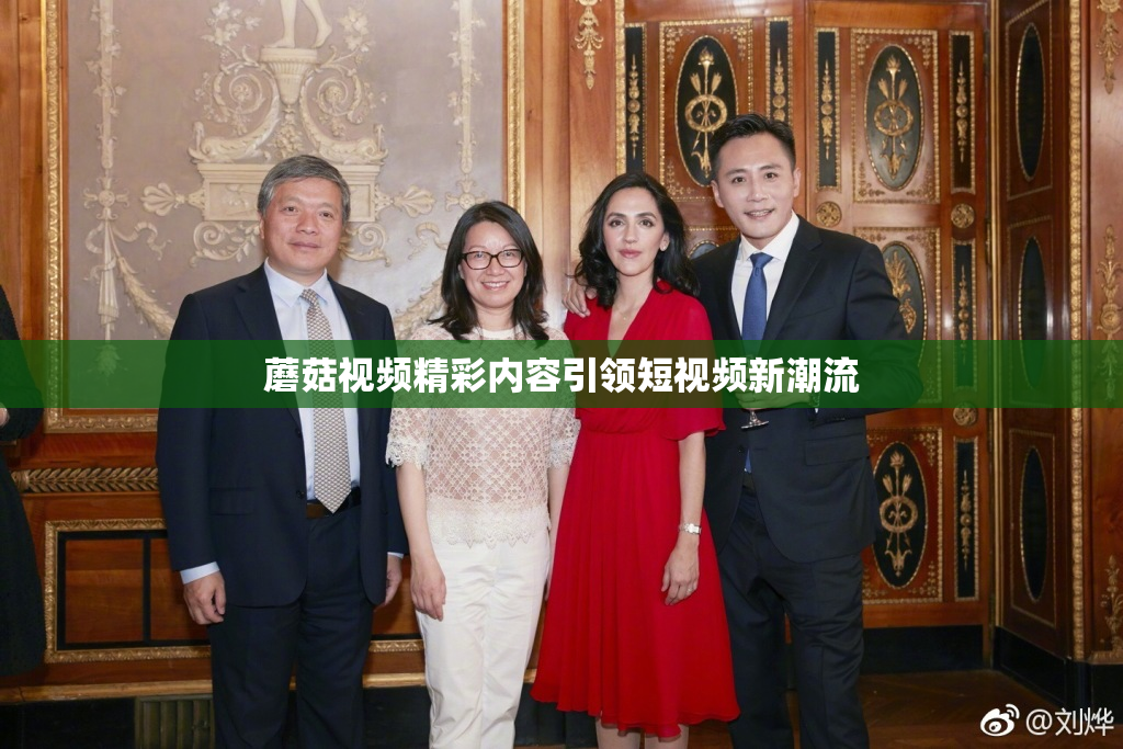蘑菇视频精彩内容引领短视频新潮流