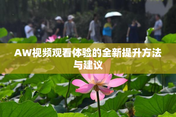AW视频观看体验的全新提升方法与建议