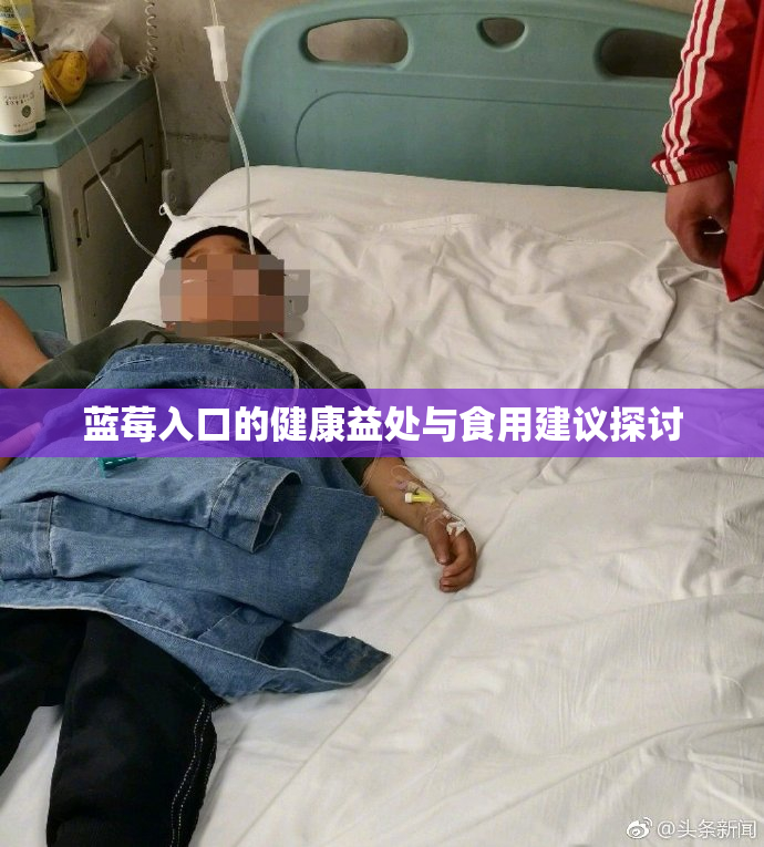 蓝莓入口的健康益处与食用建议探讨