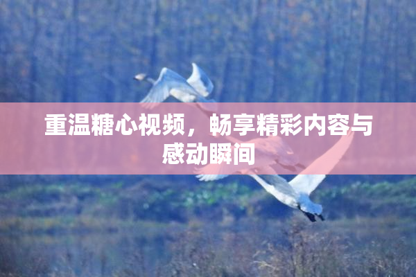 重温糖心视频，畅享精彩内容与感动瞬间