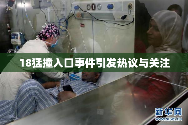 18猛撞入口事件引发热议与关注