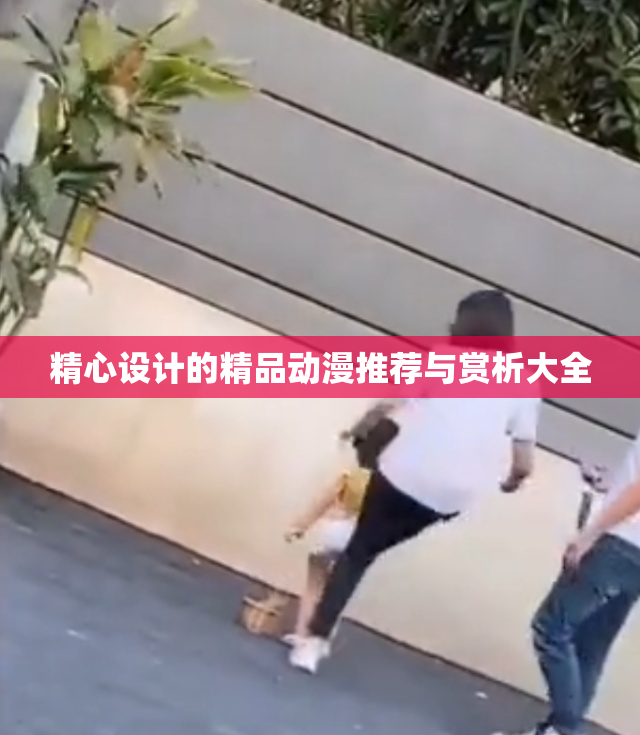精心设计的精品动漫推荐与赏析大全