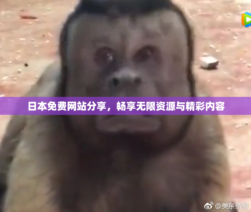 日本免费网站分享，畅享无限资源与精彩内容