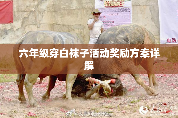 六年级穿白袜子活动奖励方案详解